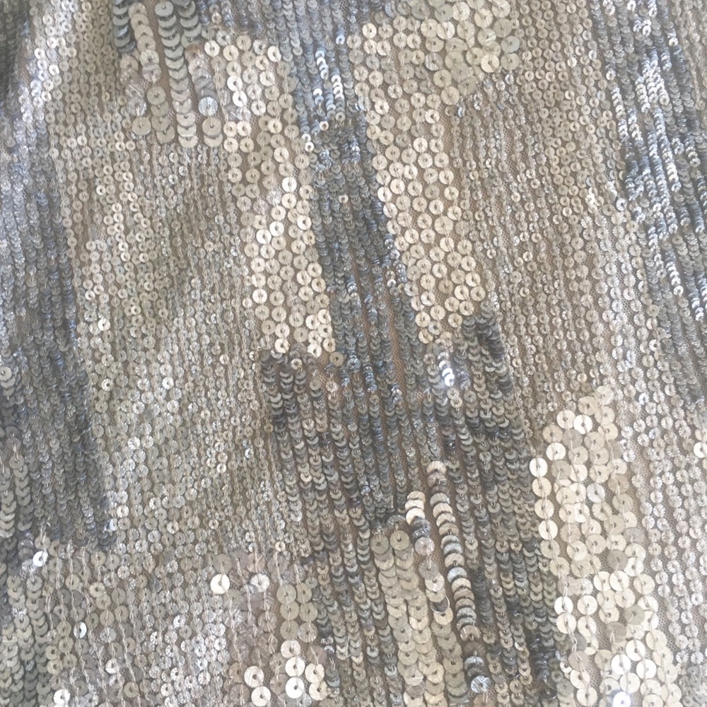 new Parker ❤︎ Sequin Sleeveless Evening Top ❤︎ Sheer Yoke Tank ❤︎ Silver Large - Picture 4 of 12